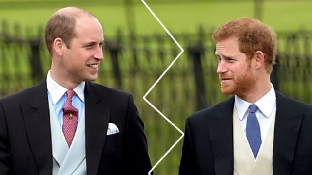 Principi Harry e William insieme