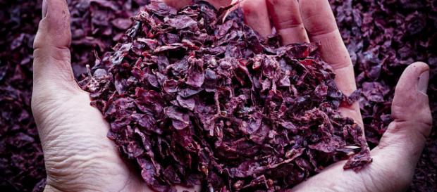 La vinaccia contrasta l'iperinsulinemia. La vinaccia contrasta l'iperinsulinemia.