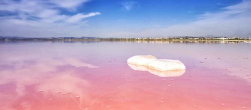 The Pink Lake of Torrevieja, Spain. [Image Alberto Casanova/Flickr]