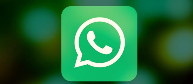 WhatsApp, arriva la possibilità di rispondere in privato nei gruppi WhatsApp, arriva la possibilità di rispondere in privato nei gruppi