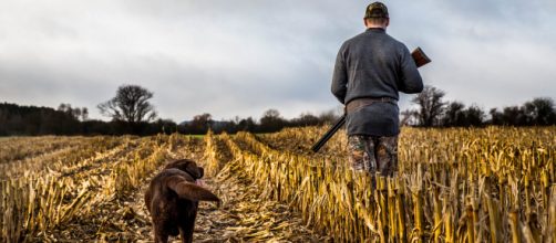 Sfondi : cane, a caccia, cacciatore, fucile da caccia, mans ... - wallhere.com