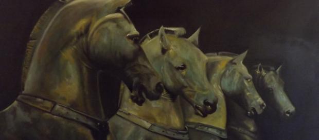 Le cheval nous demande attention et patience. Il en vaut largement la peine Le cheval nous demande attention et patience. Il en vaut largement la peine