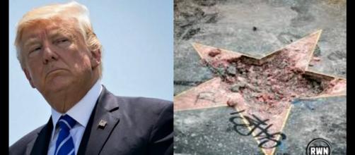Austin Clay admitted to committing a pickax attack against Donald Trump's Hollywood star. - [Headline News 24/7 / YouTube screencap]