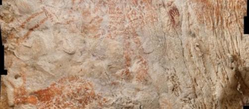 Scoperte nel Borneo le più antiche pitture figurative: una rappresenterebbe un toro