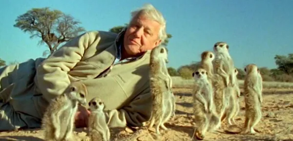 Netflix will be streaming the nature documentary "Our Planet" with Sir David Attenborough. [Image Paul Reeves/Vimeo]