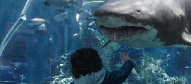 Aquaman reviews and reactions on Twitter - Image credit Warner bros. | YouTube Aquaman reviews and reactions on Twitter - Image credit Warner bros. | YouTube