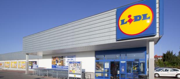 Lidl: esempi di posizioni di lavoro aperte a dicembre. Lidl: esempi di posizioni di lavoro aperte a dicembre.