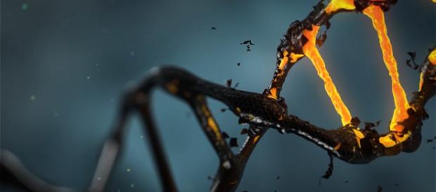 Un'intelligenza artificiale che che riconosce le malattie genetiche dal viso dei pazienti Un'intelligenza artificiale che che riconosce le malattie genetiche dal viso dei pazienti