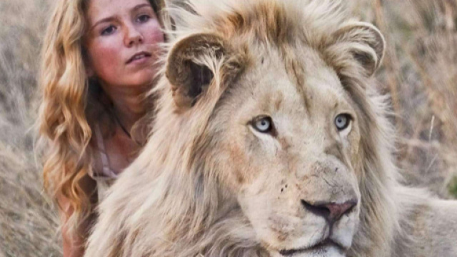 Oroscopo per il Leone nel 2019: Amore e Lavoro straordinari