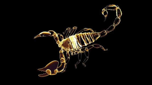 Oroscopo per lo Scorpione nel 2019