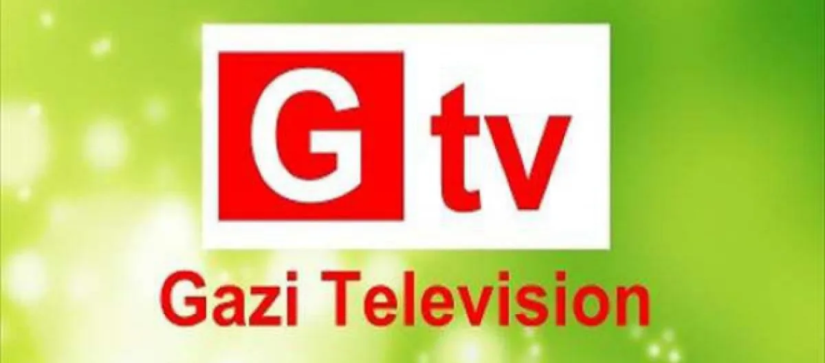 Rabbitholebd gtv live streaming new arrivals