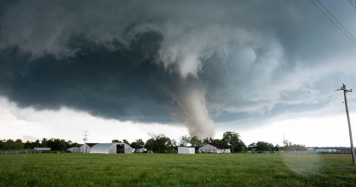 Il 2019 sarà forse l'anno più caldo di sempre: in aumento eventi