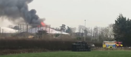 A large fire has broken out at Chester Zoo. [Image source/Glasgow YouTube video]