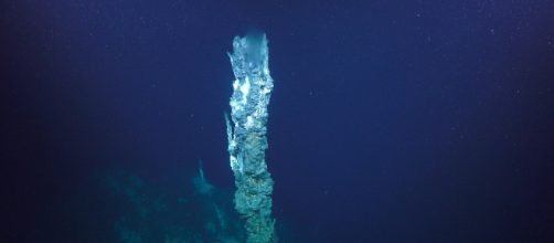 JaichMaa, nuova corrente idrotermale scoperta nel bacino meridionale di Pescadero