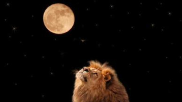 Oroscopo di domani 24 dicembre 2018, Vigilia di Natale: la Luna in Leone favorisce i segni di Fuoco
