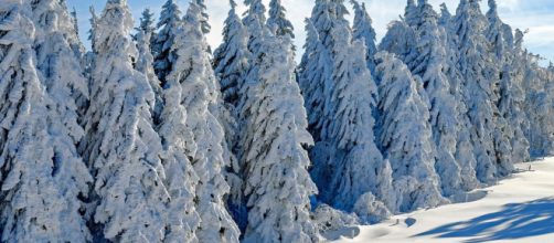 Madonna di Campiglio, lo Slalom maschile notturno di Coppa del Mondo il 22 dicembre in diretta su Rai 2