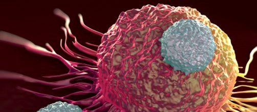 Le cellule CAR-T contrastano il mieloma multiplo