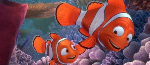 Alla Ricerca Di Nemo Domenica In Tv Su Rai 3 E In Streaming