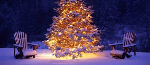 Tradizionale accensione dell'albero di Natale| Relax Hotel Erica ... - relaxhotelasiago.it