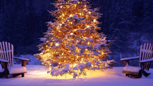 Tradizionale accensione dell'albero di Natale| Relax Hotel Erica ... - relaxhotelasiago.it