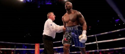 L'esultanza di Dillian Whyte dopo aver messo k.o Dereck Chisora