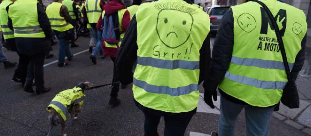 Les "Gilets jaunes" toujours mobilisés dans toute la France Les "Gilets jaunes" toujours mobilisés dans toute la France