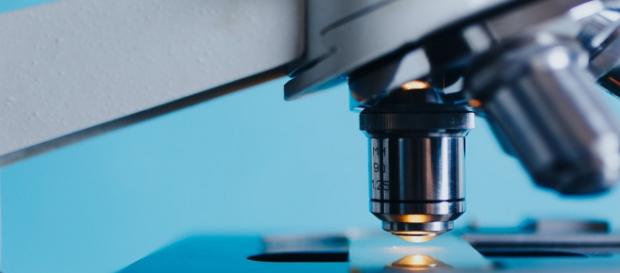 Concorsi e borse di studio per biologi e tecnico biomedico Concorsi e borse di studio per biologi e tecnico biomedico