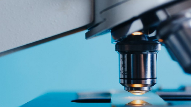 Concorsi e borse di studio per biologi e tecnico biomedico