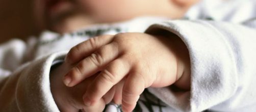 Australia, dieta vegana imposta a una neonata: genitori a processo.