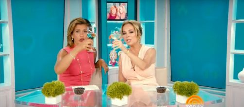 Kathie Lee Gifford goes wild for nicknames and had early sips of wine to toast the New Year on Today. [Image source-TODAY-YouTube]