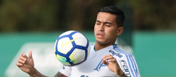 Dudu foi o melhor jogador do Campeonato Brasileiro. Dudu foi o melhor jogador do Campeonato Brasileiro.