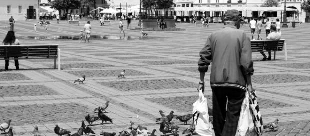 Ocse: raccomandazione di tagliare le pensioni di reversibilità Ocse: raccomandazione di tagliare le pensioni di reversibilità