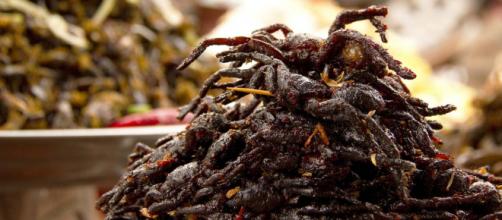 Deep-fried tarantulas - not your usual dish! [Image David Dennis/Flickr]