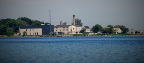 Danimarca, l'isola di Lindholm potrebbe diventare la nuova Alcatraz