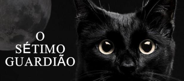 O gato León, um dos protagonistas da novela terá papel importante na salvação dos protetores da fonte. (Reprodução/Observatório de Televisão) O gato León, um dos protagonistas da novela terá papel importante na salvação dos protetores da fonte. (Reprodução/Observatório de Televisão)