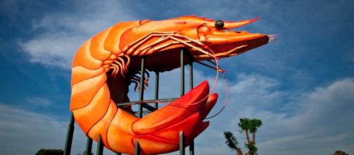 Among the strange attractions in this weird and wonderful world is a massive prawn sculpture. [Image cn2480.com.au/Wikimedia]