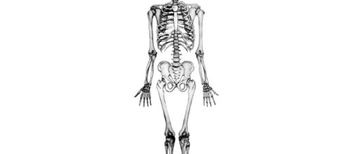Londra, trovato nel fango del Tamigi antico scheletro di un uomo con gli stivali intatti