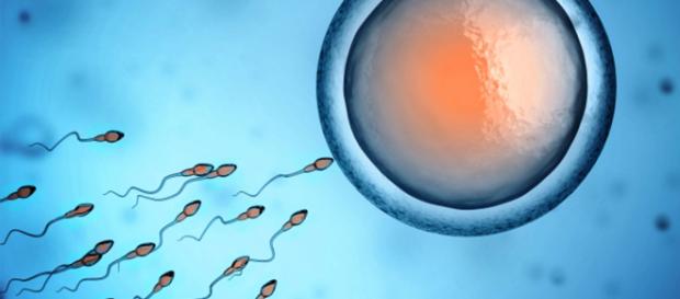 Bambina nata da donatrice di utero deceduta Bambina nata da donatrice di utero deceduta