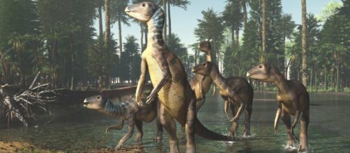 Australia, scoperti i resti di un nuovo dinosauro chiamato Weewarrasaurus