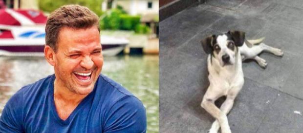 Eduardo Costa e o cachorro Manchinha (Reprodução/Instagram/G1) Eduardo Costa e o cachorro Manchinha (Reprodução/Instagram/G1)