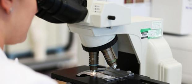 La "firma" molecolare dei tumori è scritta nel DNA: diagnosi ... - corrierequotidiano.it La "firma" molecolare dei tumori è scritta nel DNA: diagnosi ... - corrierequotidiano.it