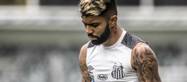 Último artilheiro do Brasileirão pelo Santos, Gabigol interessa a outros clubes do futebol nacional (Divulgação/Ivan Storti/Santos FC) Último artilheiro do Brasileirão pelo Santos, Gabigol interessa a outros clubes do futebol nacional (Divulgação/Ivan Storti/Santos FC)