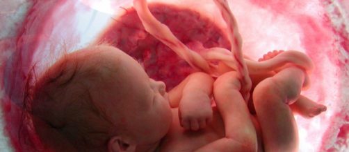 Primo caso al mondo di bambina nata da un utero di donna deceduta