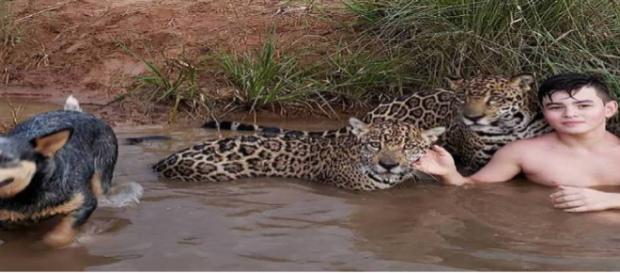 A foto do garoto ao lado de duas onças-pintadas e um cachorro não é fake ou montagem. Foto: Arquivo Pessoal A foto do garoto ao lado de duas onças-pintadas e um cachorro não é fake ou montagem. Foto: Arquivo Pessoal