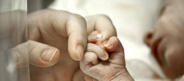 Bimba di 16 mesi bisognosa di un cuore: la mamma apre una pagina FB Bimba di 16 mesi bisognosa di un cuore: la mamma apre una pagina FB