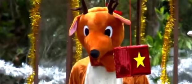 James plays the role of Rudolph the not so red nosed Reindeer (Image credit: I'm A Celebrity...Get Me Out Of Here!/ITV YouTube,com) James plays the role of Rudolph the not so red nosed Reindeer (Image credit: I'm A Celebrity...Get Me Out Of Here!/ITV YouTube,com)