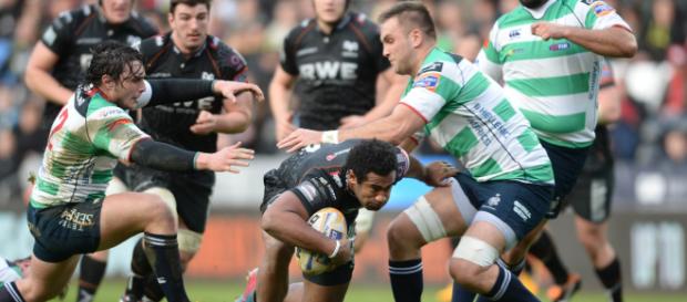 Treviso Rugby: i giocatori si rasano in segno di solidarietà per il compagno malato Treviso Rugby: i giocatori si rasano in segno di solidarietà per il compagno malato