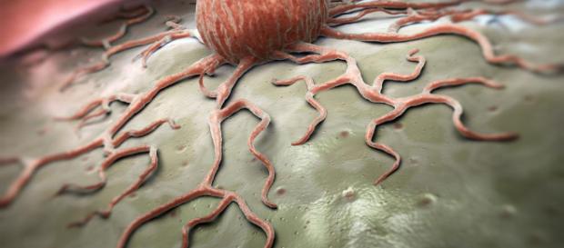 Tumore: per il Nobel Honjo entro il 2050 sarà sconfitto dall'immunoterapia Tumore: per il Nobel Honjo entro il 2050 sarà sconfitto dall'immunoterapia