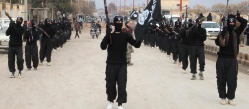 How the CT Community Failed to Anticipate the Islamic State ... - usma.edu