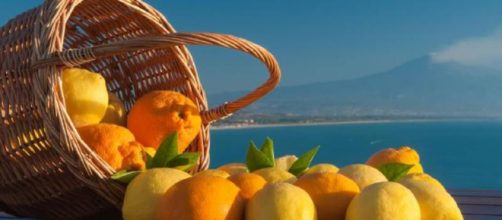 Limoni e agrumi di sicilia serviranno a fare una nuova bioplastica (fonte guidasicilia)